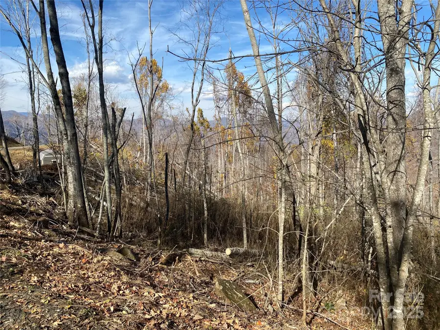 999 Bear Springs Road #QQ, Bakersville, NC 28705 - Image #3