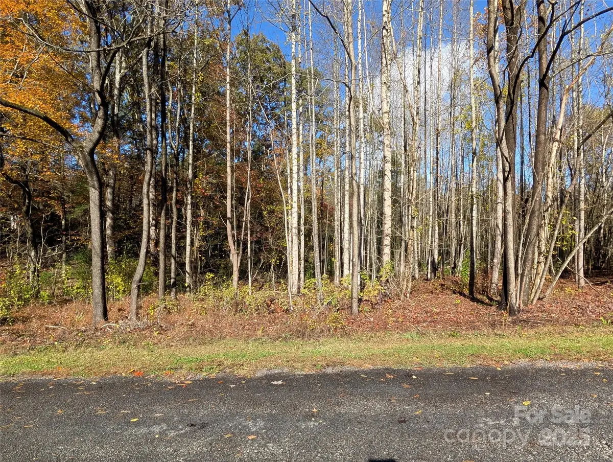 00 Old Roper Road, Hendersonville, NC 28791 - Image #1