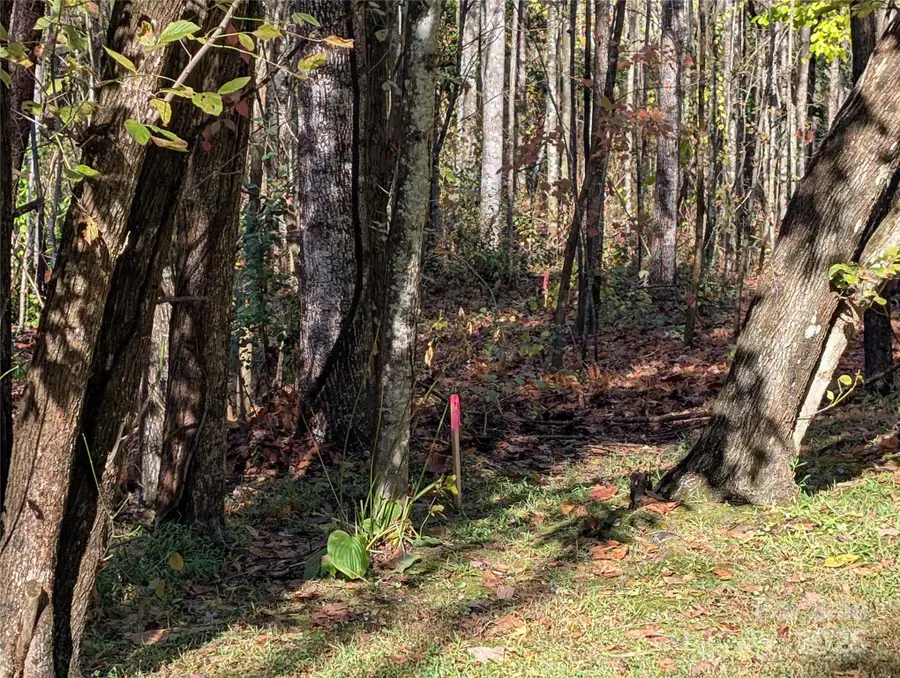 00 Old Roper Road, Hendersonville, NC 28791 - Image #3