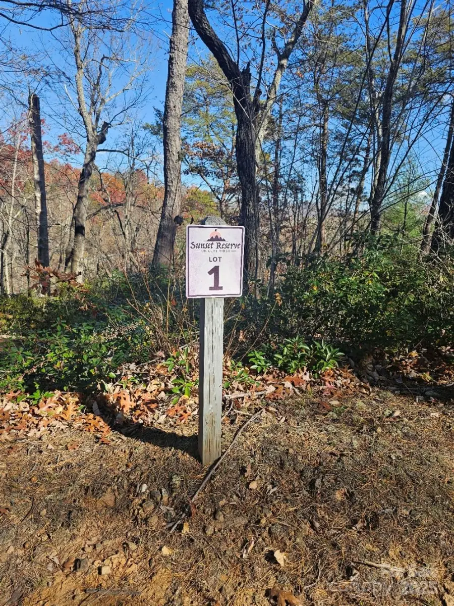 0 Lure Ridge Drive #1, Lake Lure, NC 28746 - Image #2