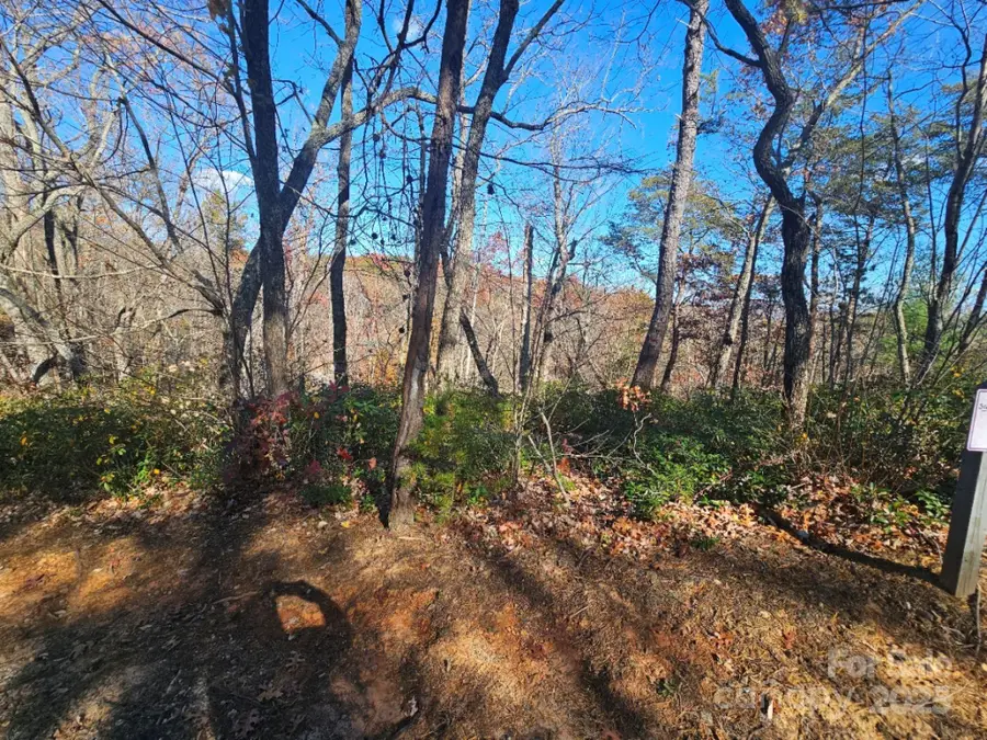 0 Lure Ridge Drive #1, Lake Lure, NC 28746 - Image #3