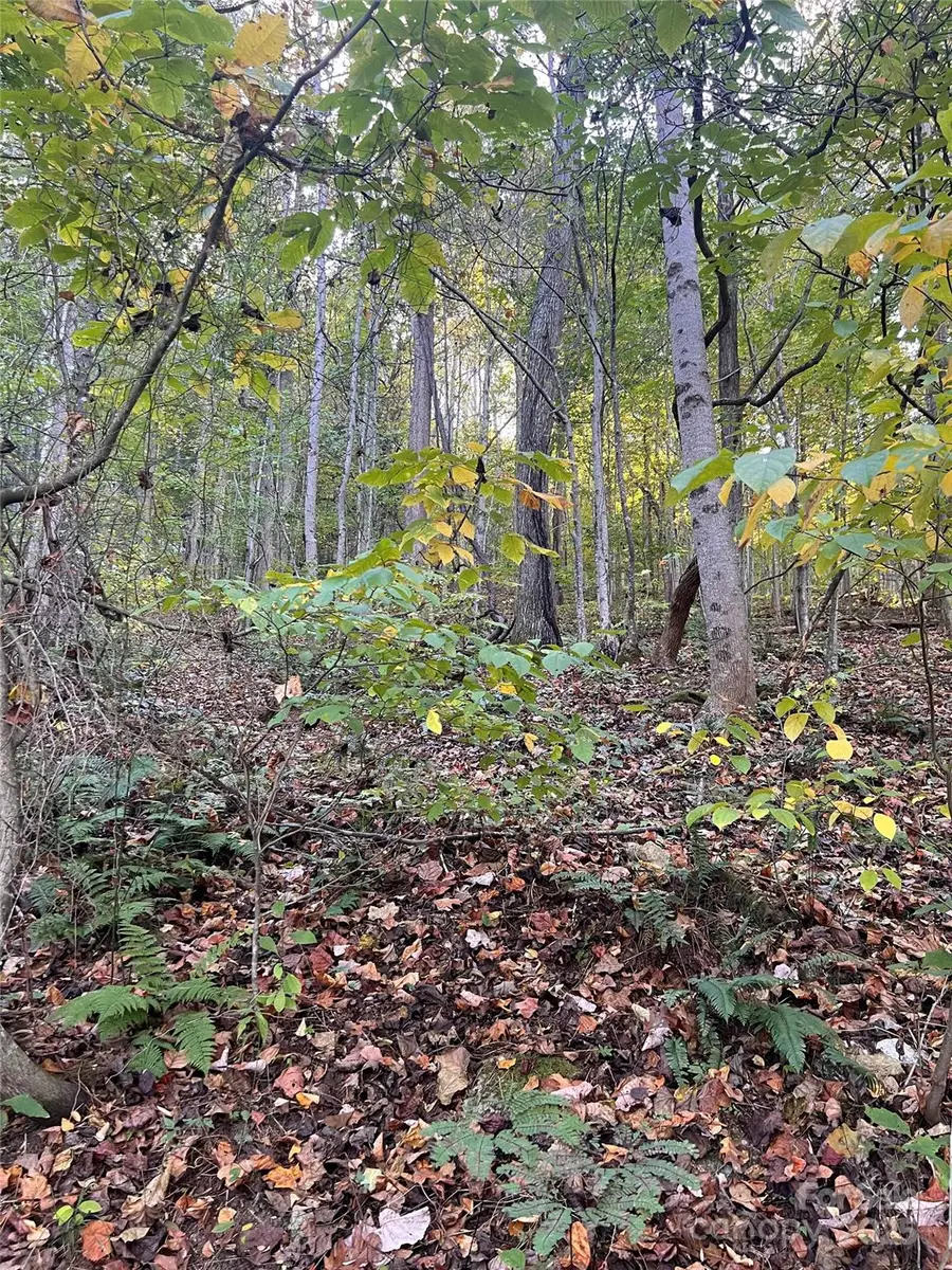 9999 Fox Town Road, Hot Springs, NC 28743 - Image #2