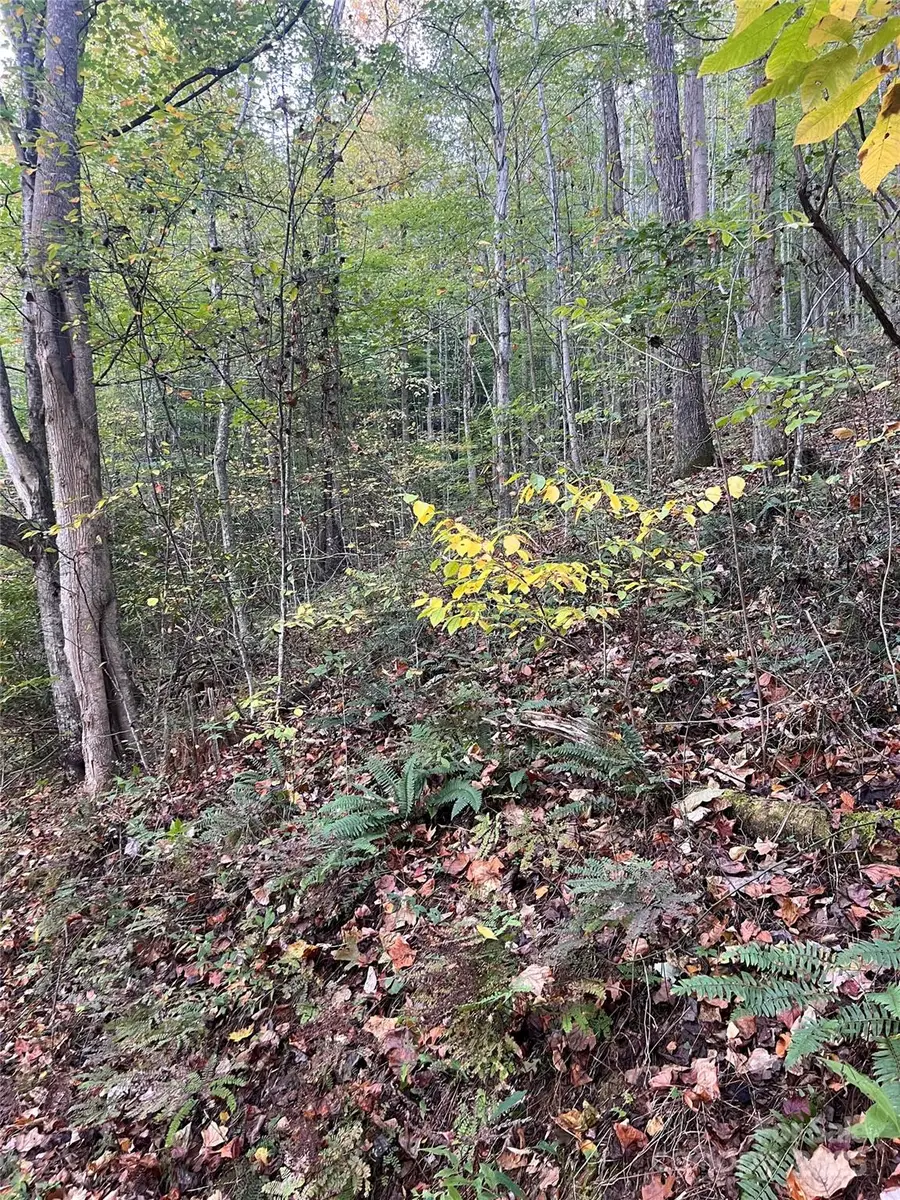 9999 Fox Town Road, Hot Springs, NC 28743 - Image #3