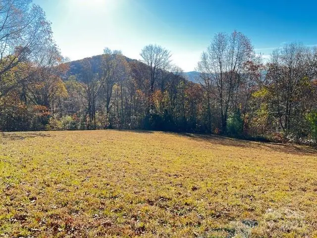 Lot 117 Autumn Sky Drive, Hendersonville, NC 28792 - Image #1