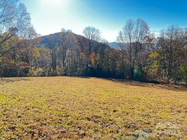 Lot 117 Autumn Sky Drive, Hendersonville, NC 28792