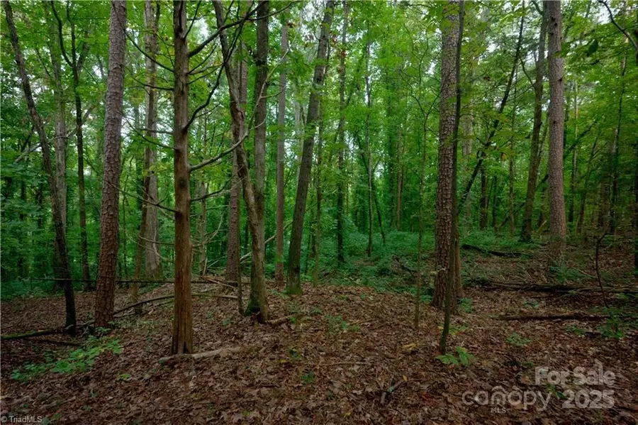 9651 Barnett Road, Concord, NC 28027 - Image #3