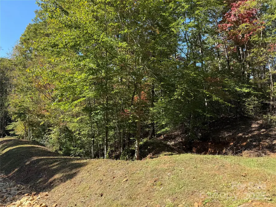 lot 29 Lake Road, Marion, NC 28752 - Image #2
