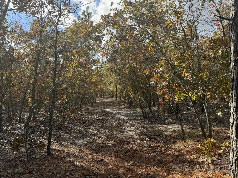 0 Fox Road, Marston, NC 28363 - Image #3