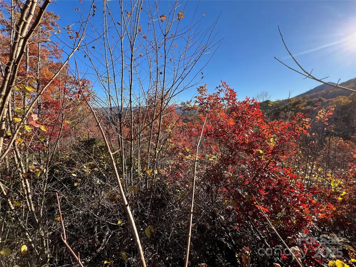 Lot 66 Musket Road, Almond, NC 28702 - Image #1