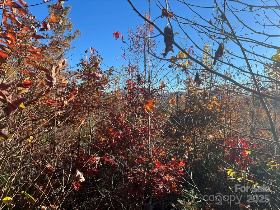 Lot 66 Musket Road, Almond, NC 28702 - Image #3