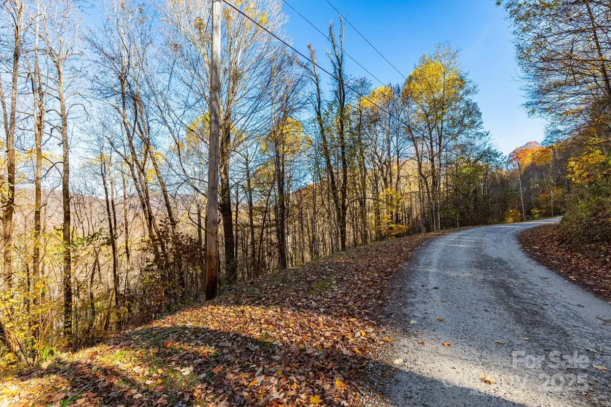 TBD Appaloosa Trail, Waynesville, NC 28785 - Image #1