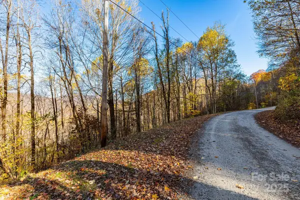 TBD Appaloosa Trail, Waynesville, NC 28785