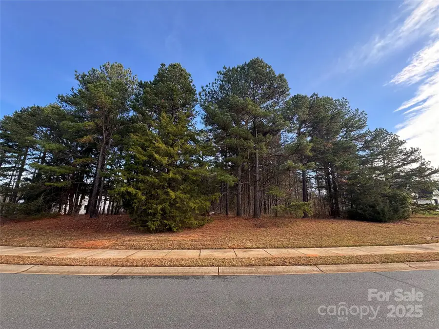 9209 Arlington Hills Drive, Mint Hill, NC 28227 - Image #2