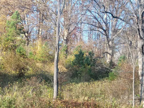 00 Kirkpatrick Cove, Clyde, NC 28721