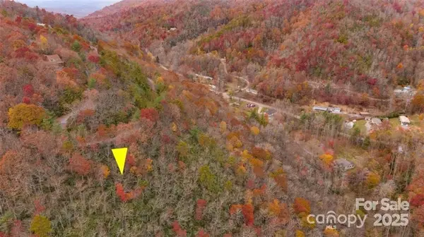 82 Davey Crockett Road, Fairview, NC 28730