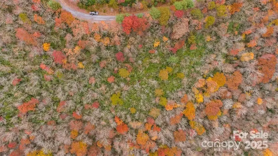 82 Davey Crockett Road, Fairview, NC 28730 - Image #3