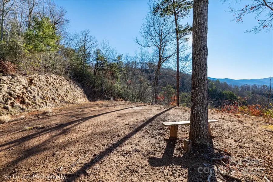 99999 Sourwood Road, Canton, NC 28716 - Image #2