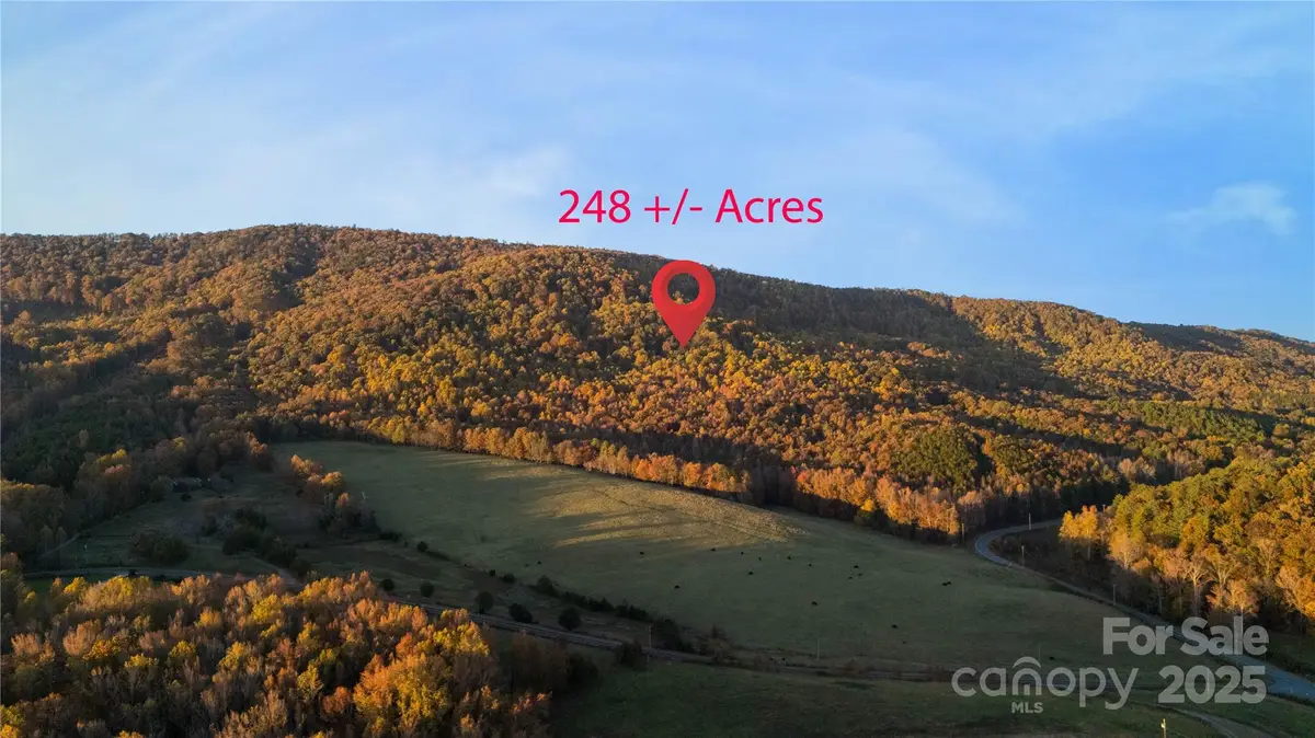 TBD Wards Gap Road, Casar, NC 28020 - Image #1