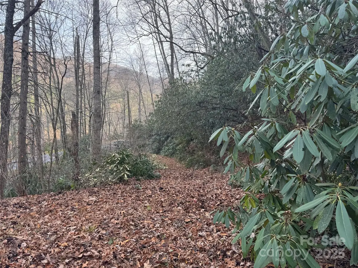 2664 Nc Hwy 9 Highway, Black Mountain, NC 28711 - Image #1