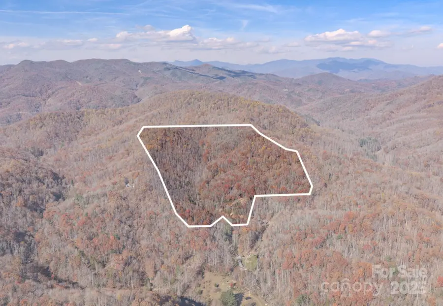 44 Alfalfa Trail, Fairview, NC 28730 - Image #2