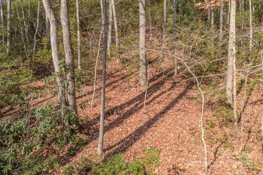 44 Alfalfa Trail, Fairview, NC 28730 - Image #3