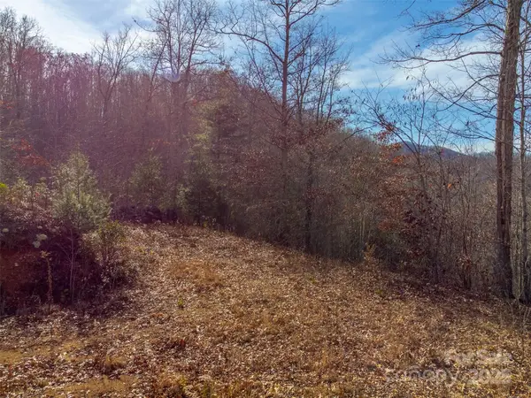 00 Garnet Road, Sylva, NC 28779