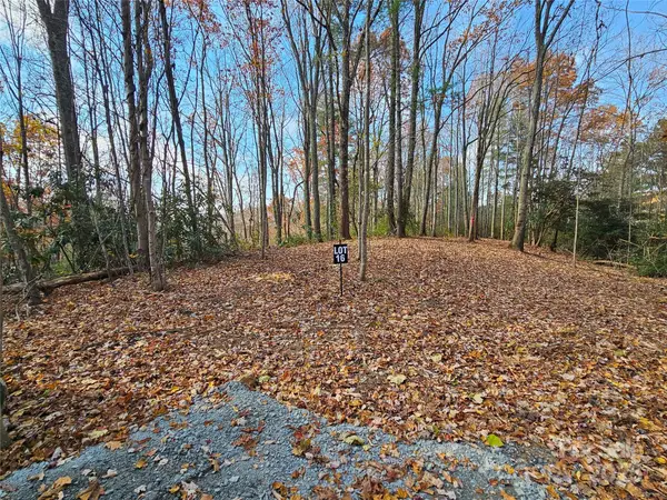 9999-16 Bob Barnwell Road, Asheville, NC 28803