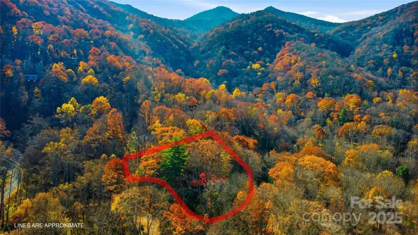 1373 Dogwood Drive, Maggie Valley, NC 28751