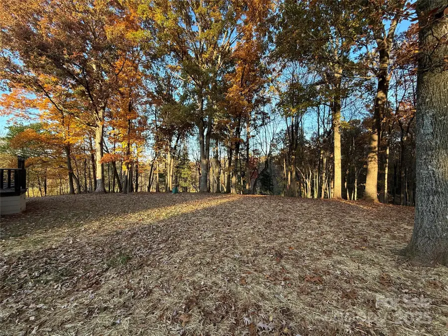 5330 Herman Road, Claremont, NC 28610 - Image #3