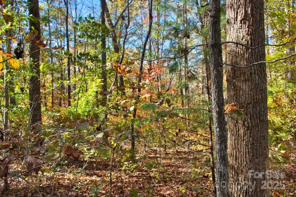 0 Bitteroot Circle #294, Rutherfordton, NC 28139