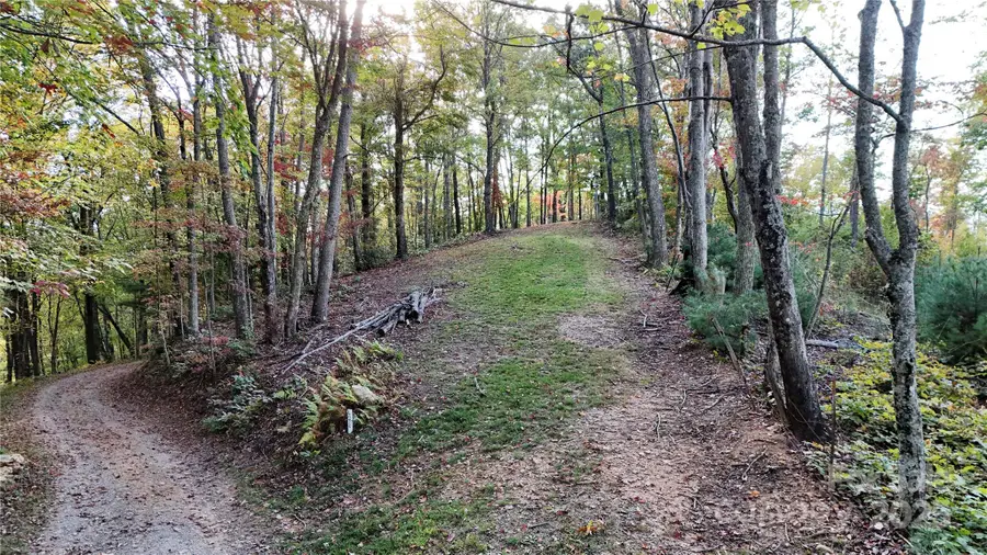 2 Roberts Mountain Road #2, Clyde, NC 28721 - Image #2