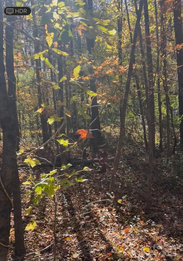 0 Snuggs Park Road, Albemarle, NC 28001