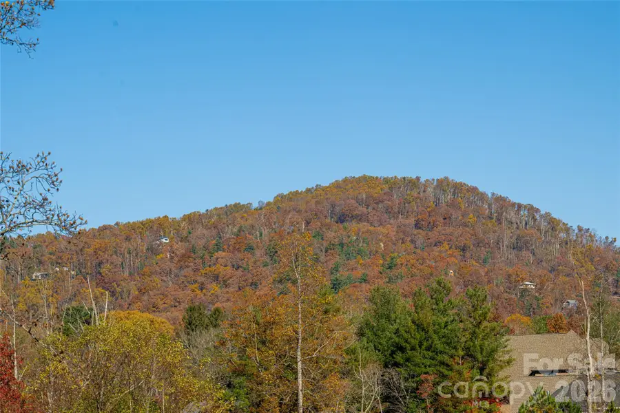 38 Chantilly Drive, Asheville, NC 28804 - #2