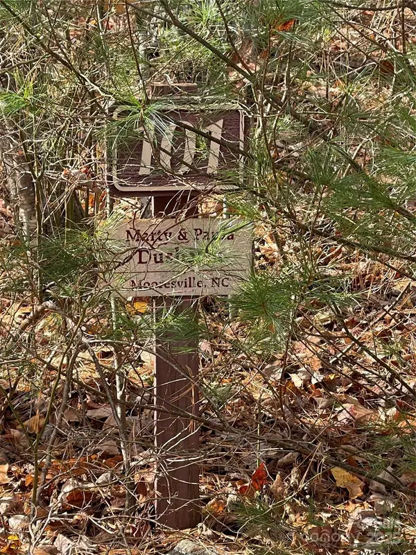 00 Pinnacle Falls Lane, Zirconia, NC 28790