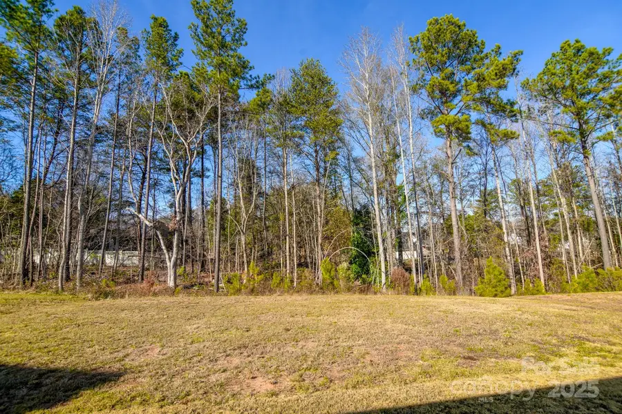 599 Lamorak Place, Richburg, SC 29729 - Image #3