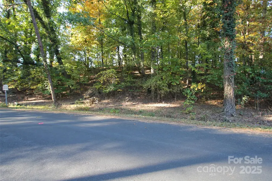 TBD Lake Head Road, Norwood, NC 28128 - Image #3