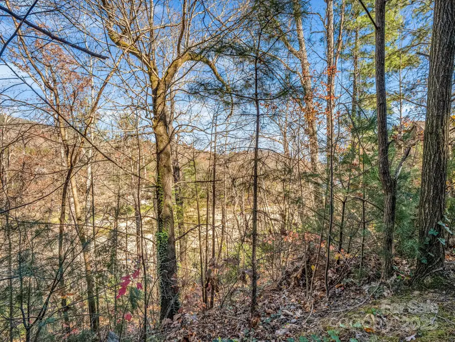 167 Firefly Point, Lake Lure, NC 28746 - Image #3