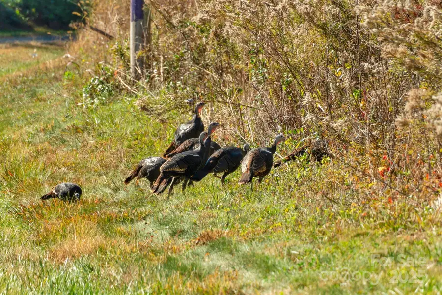 0000 Bud Davis Road #5, Vale, NC 28168 - Image #3