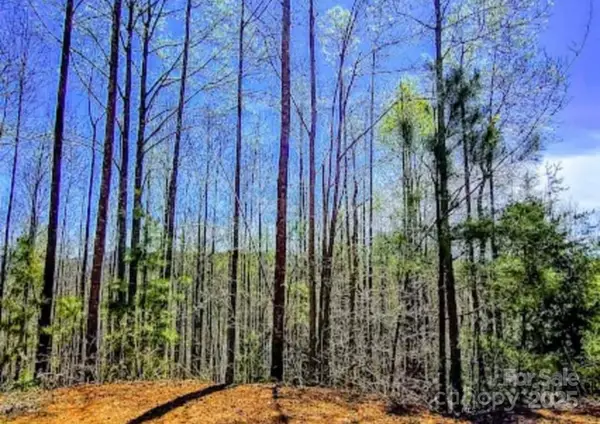 153 Westridge Drive, Bostic, NC 28018