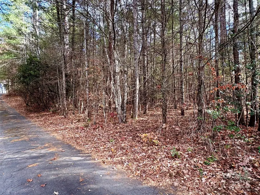 99999 Heather Lane, Fairview, NC 28730 - Image #2