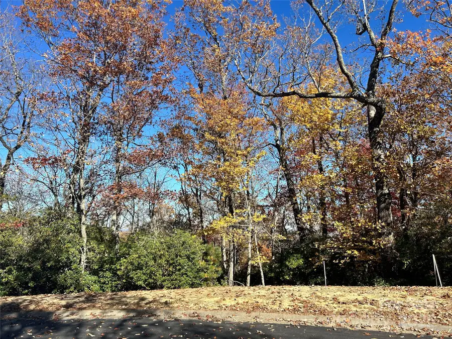 1114 Mills River Way, Horse Shoe, NC 28742 - Image #2