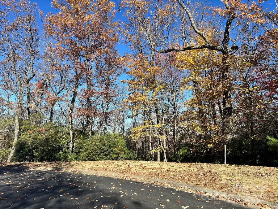 1114 Mills River Way, Horse Shoe, NC 28742 - Image #3