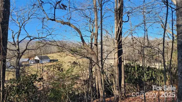 4 Coke Candler Lane, Candler, NC 28715