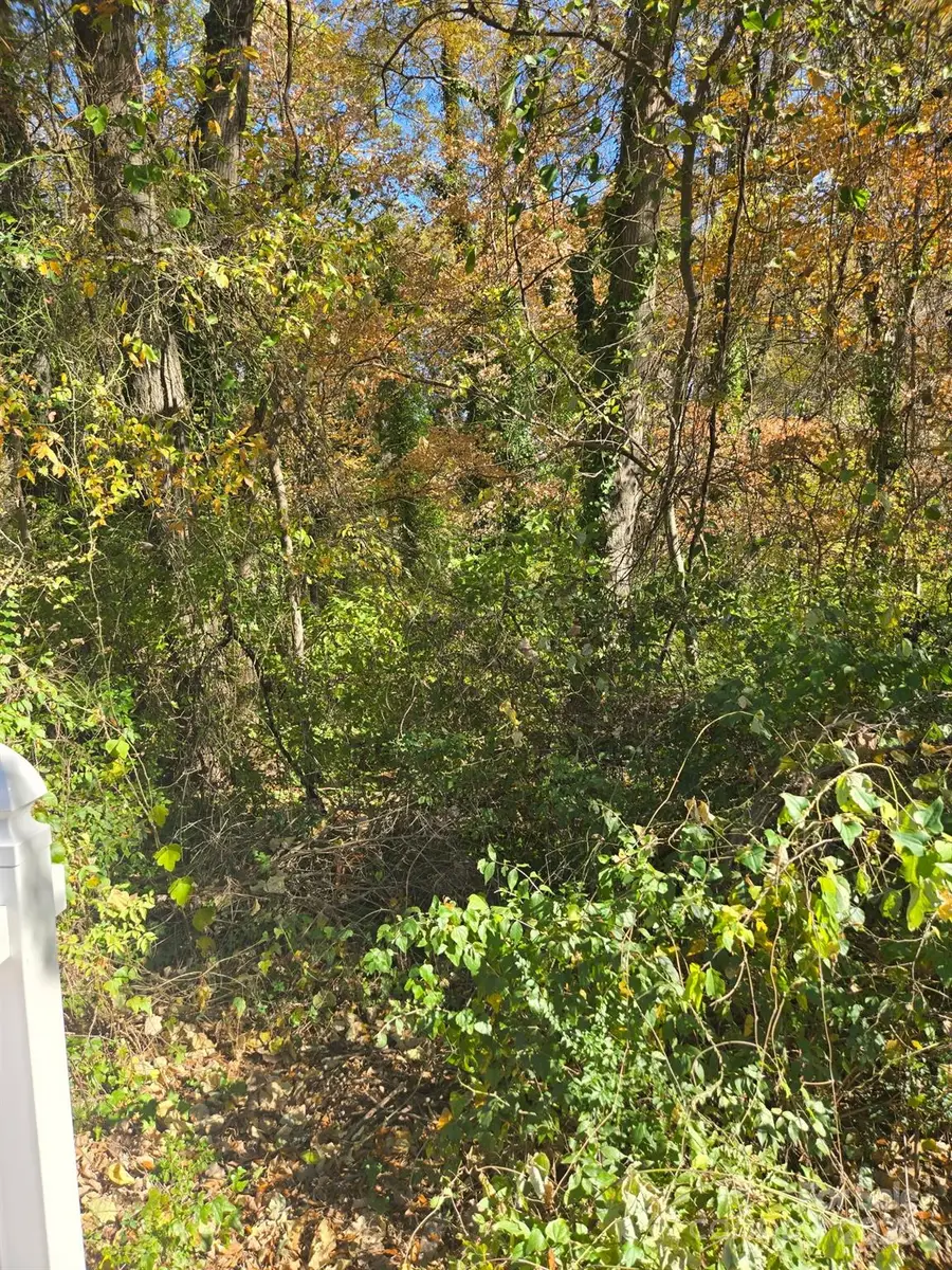 420 Killian Avenue, Mount Holly, NC 28120 - Image #2