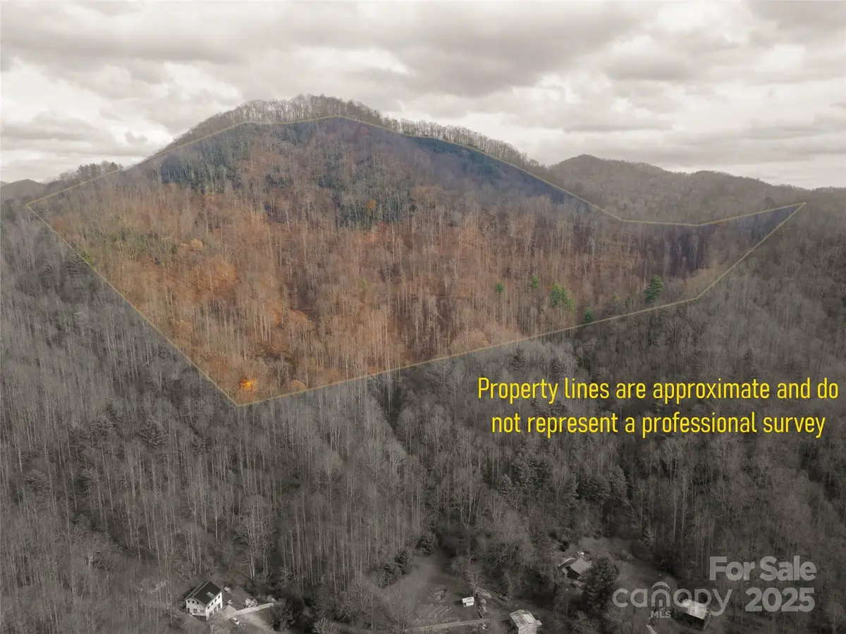 ### Grapevine Road, Marshall, NC 28753 - Image #1