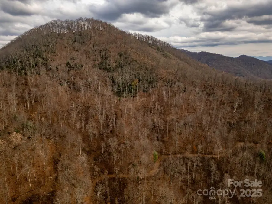 ### Grapevine Road, Marshall, NC 28753 - Image #3