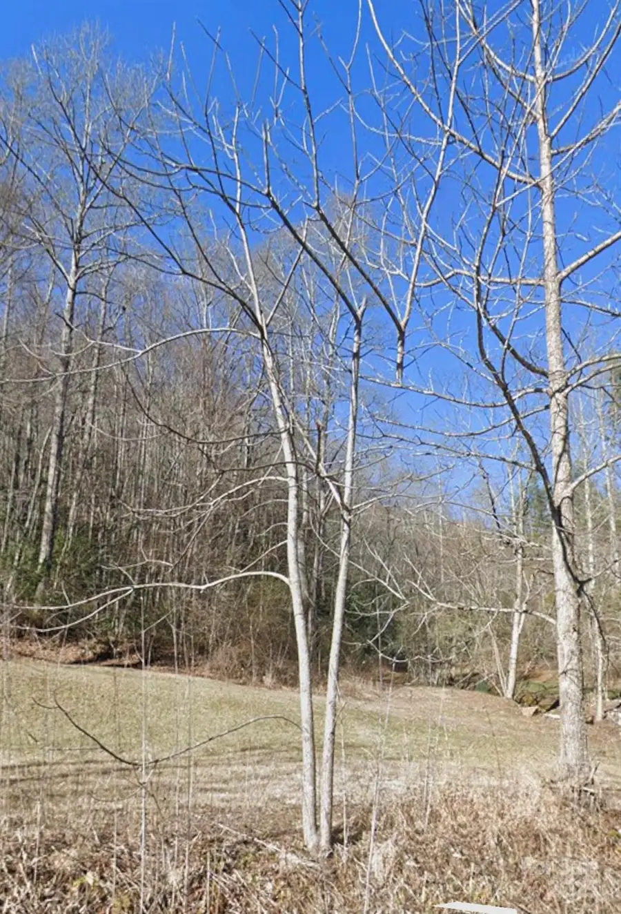 494 Shepherd Creek, Franklin, NC 28734 - Image #3