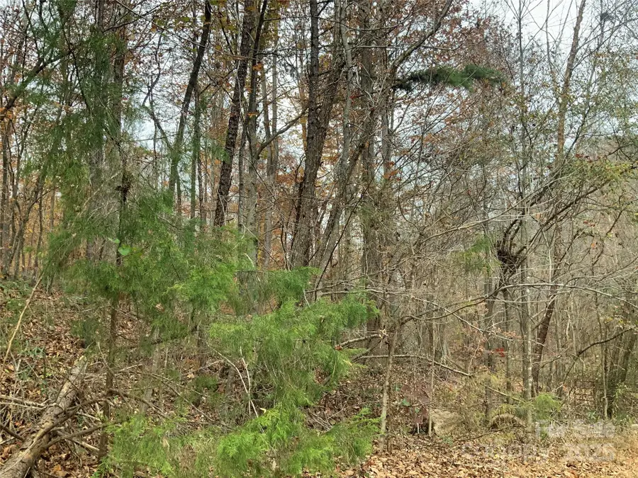 2813 Sadler Road, Alexis, NC 28006 - Image #2