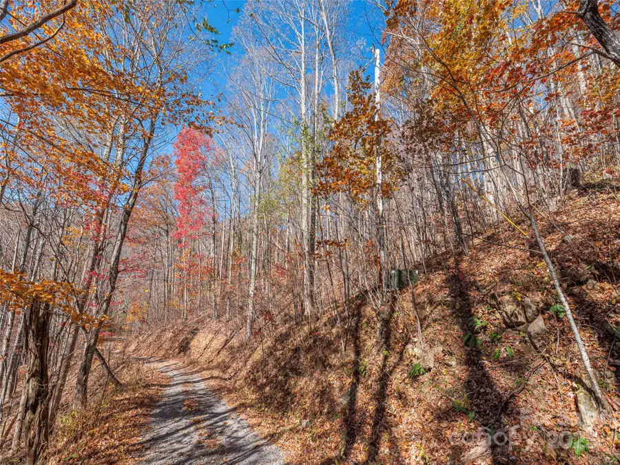 112 & 113 Grouse Road, Clyde, NC 28721 - Image #2