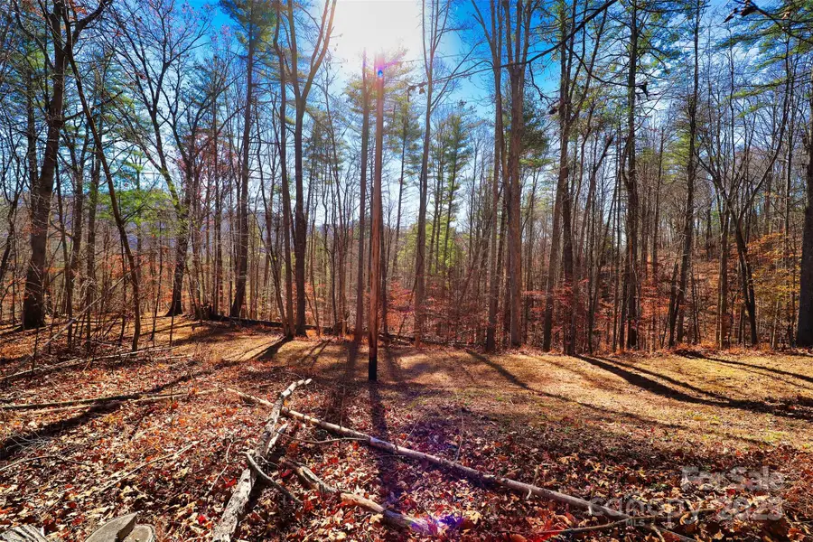 TBD Rockinghorse Trail #Tract 1, Burnsville, NC 28714 - Image #2